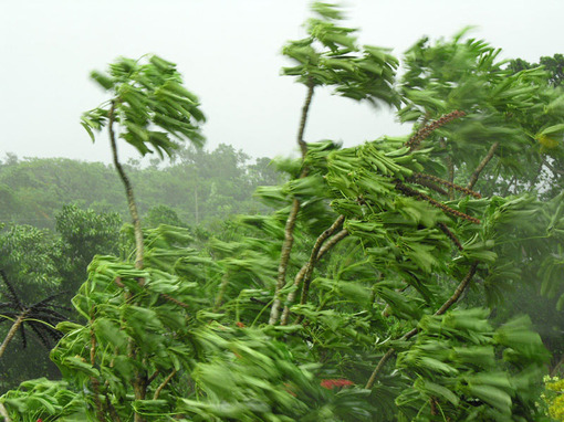 Hurricane Dean, by Xplorator、photography、台风、雨